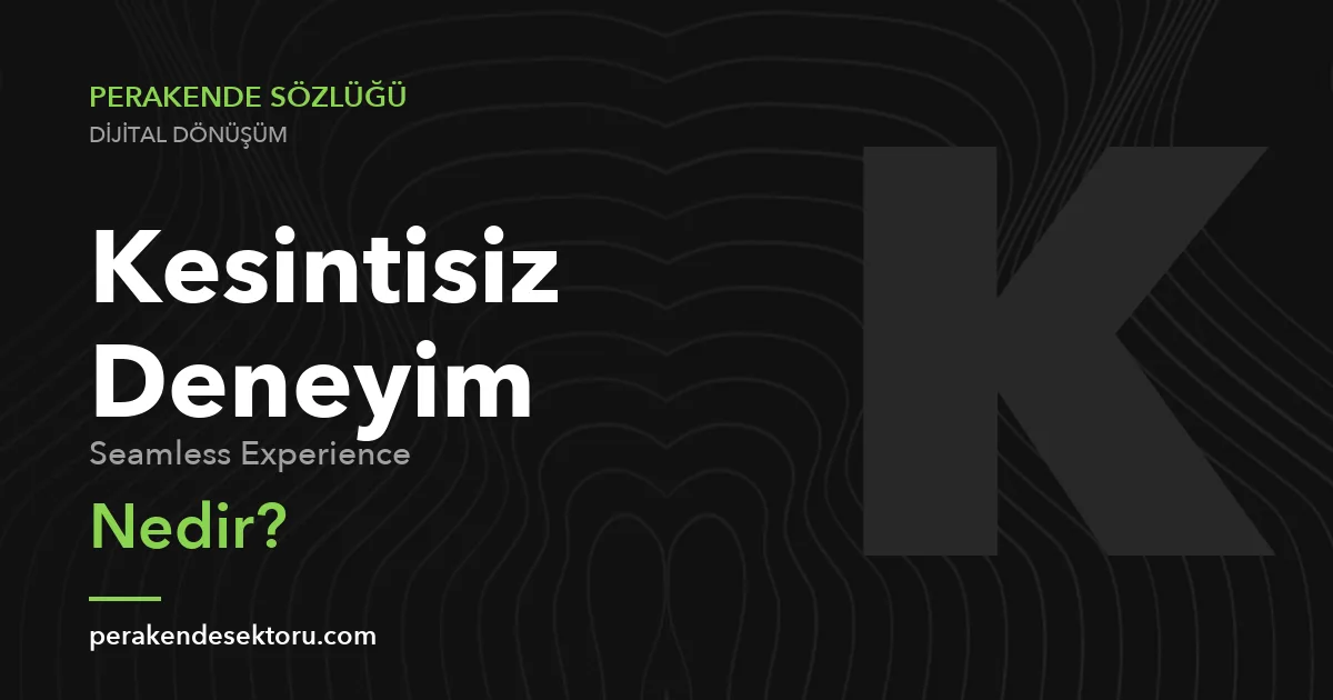 Kesintisiz Deneyim (Seamless Experience)